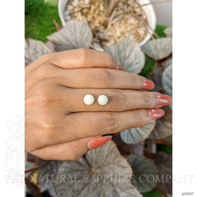 3.56 Ct.Tw. Salmon and White Cabochon Coral Pair from Italy