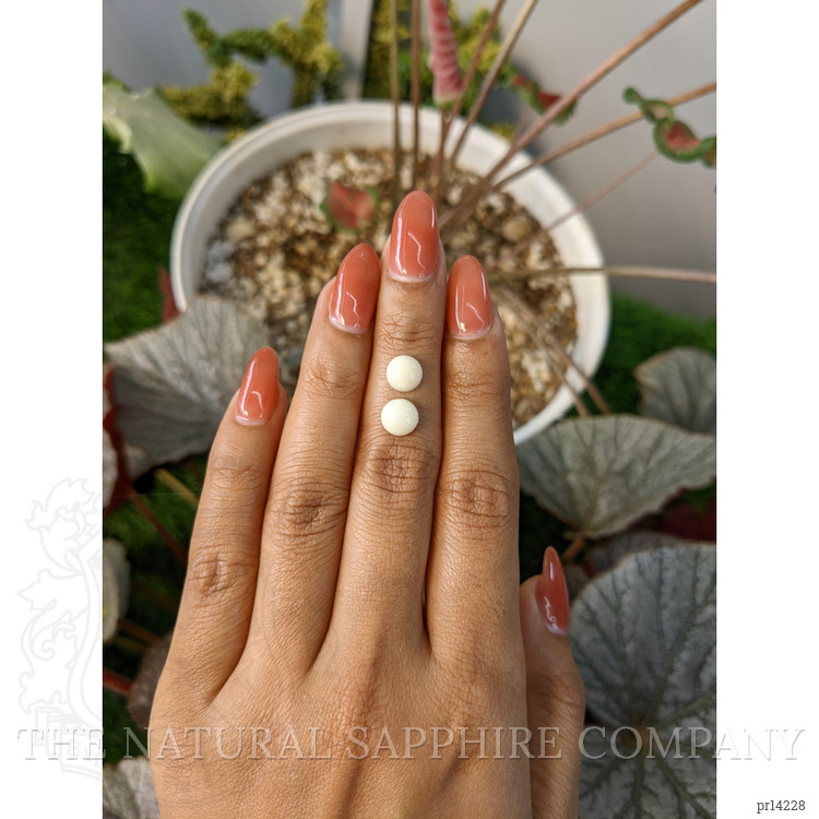 3.22 Ct.Tw. Salmon and White Cabochon Coral Pair from Italy
