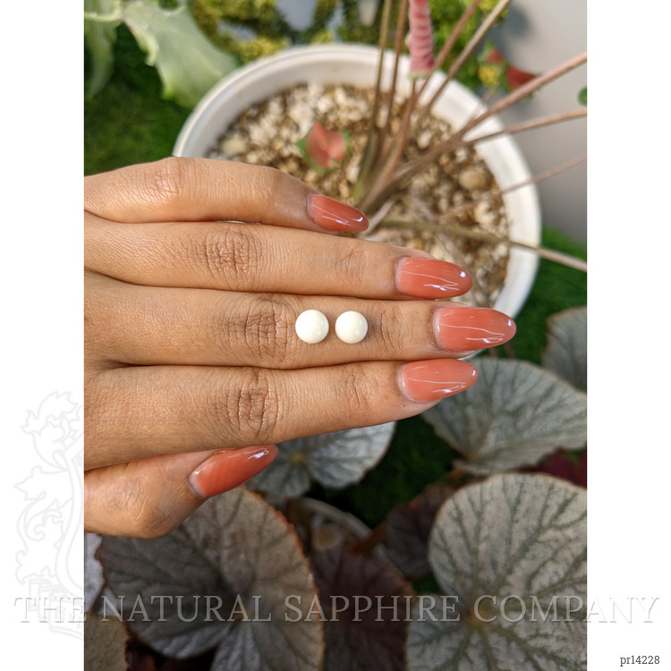 3.22 Ct.Tw. Salmon and White Cabochon Coral Pair from Italy