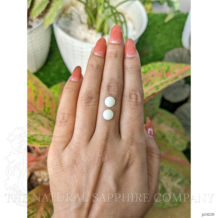 3.73 Ct.Tw. Salmon and White Cabochon Coral Pair from Italy