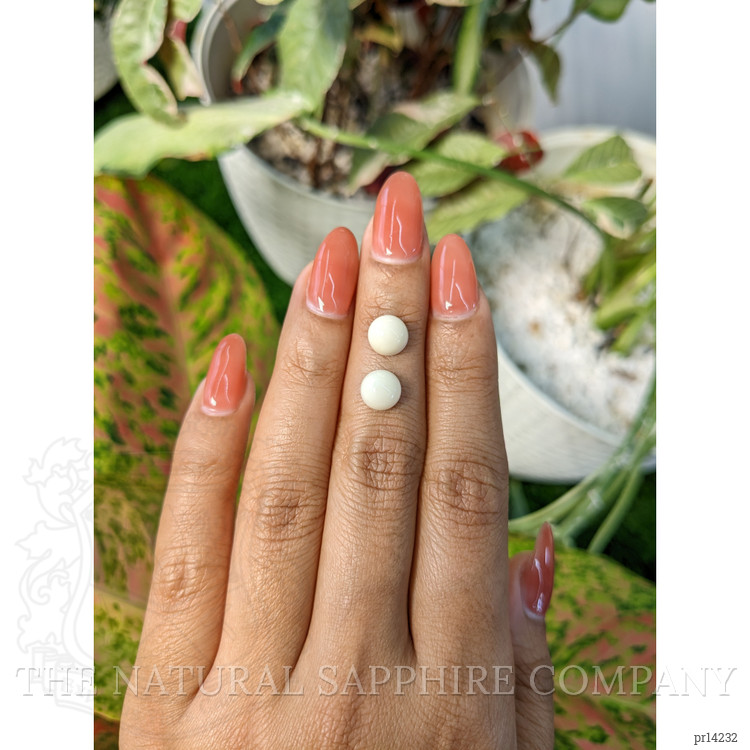 3.65 Ct.Tw. Salmon and White Cabochon Coral Pair from Italy