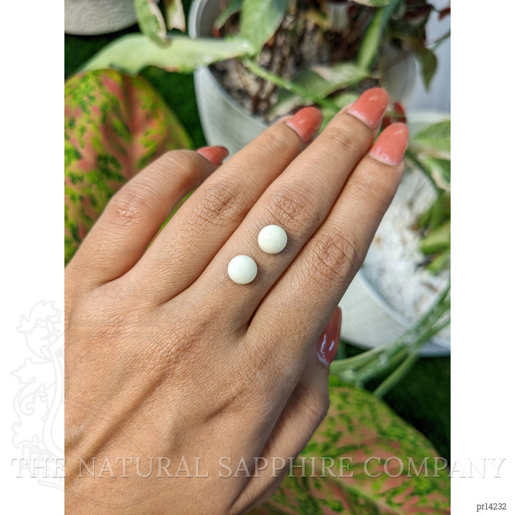 3.65 Ct.Tw. Salmon and White Cabochon Coral Pair from Italy