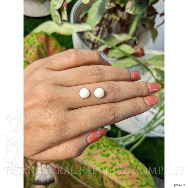 3.65 Ct.Tw. Salmon and White Cabochon Coral Pair from Italy