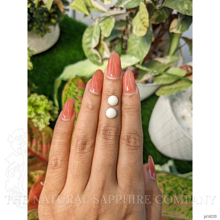 3.22 Ct.Tw. Salmon and White Cabochon Coral Pair from Italy