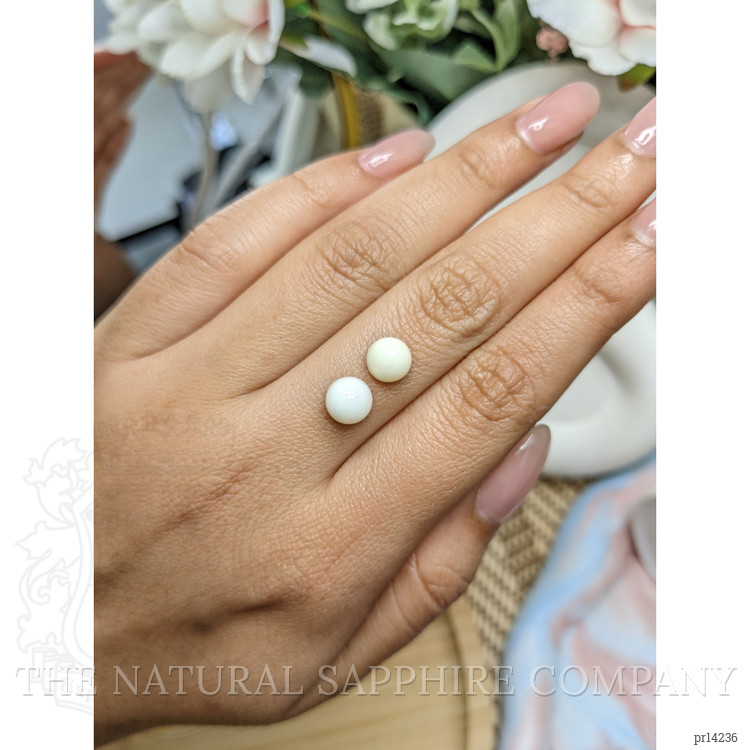 3.53 Ct.Tw. Salmon and White Cabochon Coral Pair from Italy