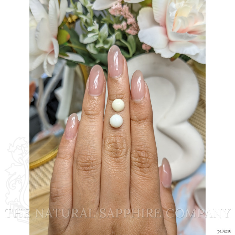 3.53 Ct.Tw. Salmon and White Cabochon Coral Pair from Italy