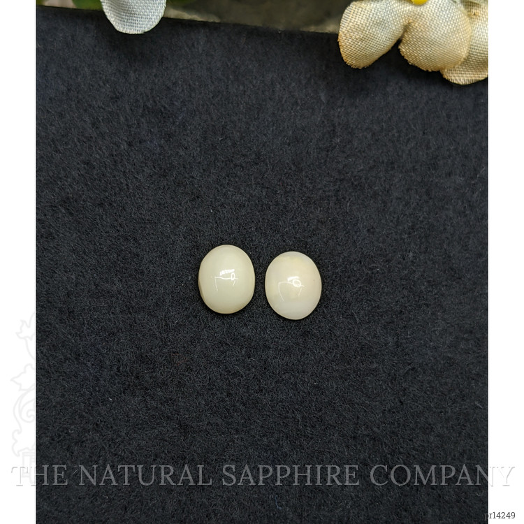 3.10 Ct.Tw. Salmon and White Cabochon Coral Pair from Italy