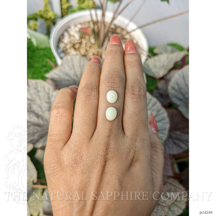 3.10 Ct.Tw. Salmon and White Cabochon Coral Pair from Italy