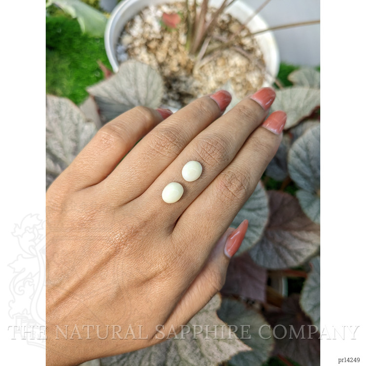 3.10 Ct.Tw. Salmon and White Cabochon Coral Pair from Italy