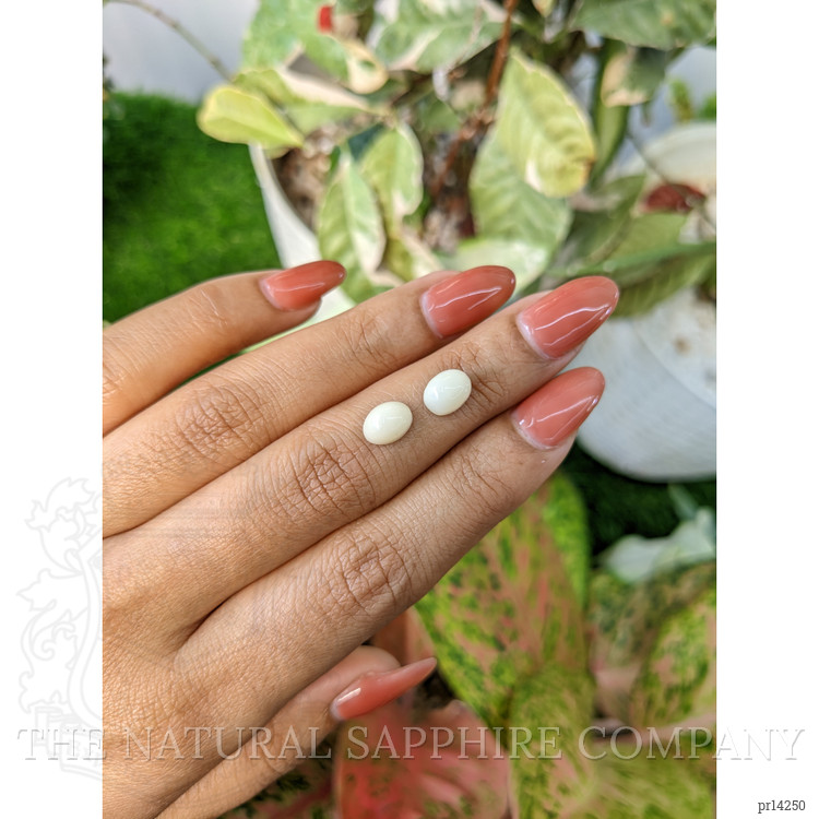 2.84 Ct.Tw. Salmon and White Cabochon Coral Pair from Italy