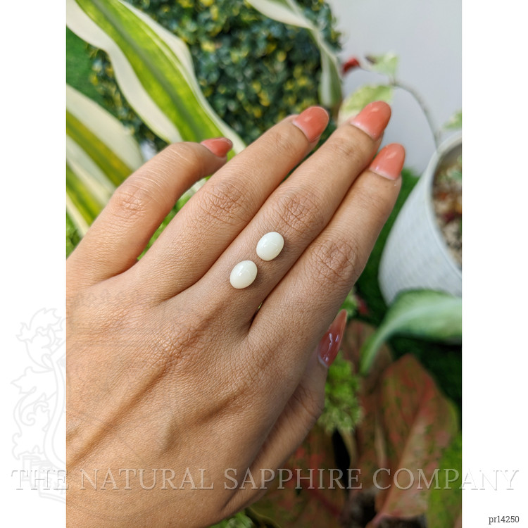 2.84 Ct.Tw. Salmon and White Cabochon Coral Pair from Italy