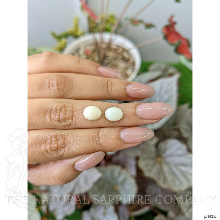 4.98 Ct.Tw. Salmon and White Cabochon Coral Pair from Italy