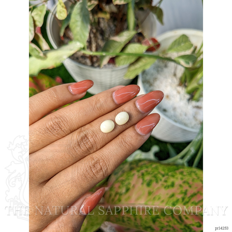 4.12 Ct.Tw. Salmon and White Cabochon Coral Pair from Italy