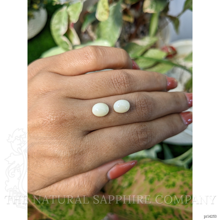 4.12 Ct.Tw. Salmon and White Cabochon Coral Pair from Italy