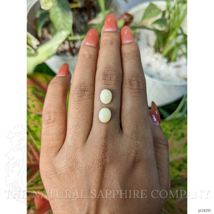 4.12 Ct.Tw. Salmon and White Cabochon Coral Pair from Italy