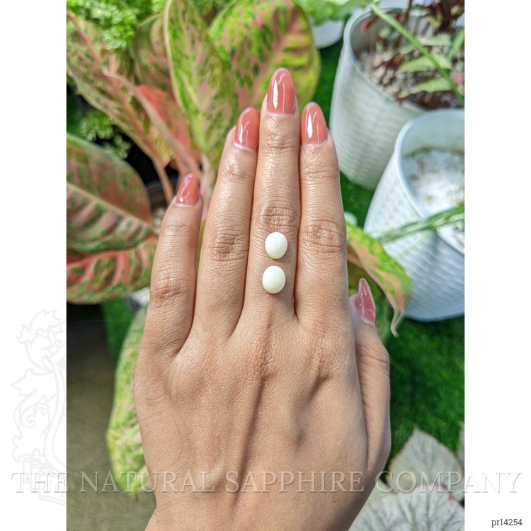 4.68 Ct.Tw. Salmon and White Cabochon Coral Pair from Italy