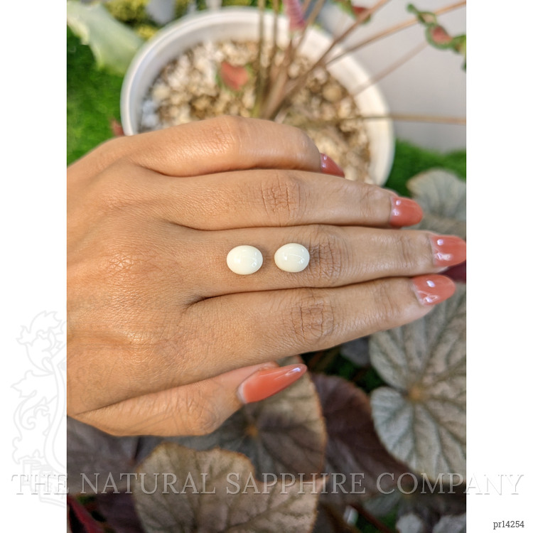 4.68 Ct.Tw. Salmon and White Cabochon Coral Pair from Italy
