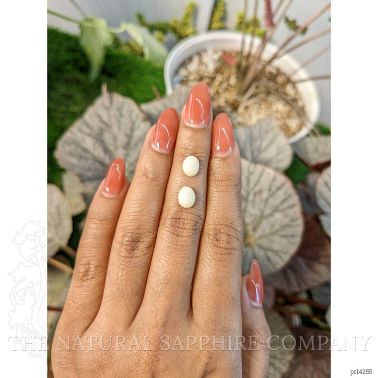3.35 Ct.Tw. Salmon and White Cabochon Coral Pair from Italy