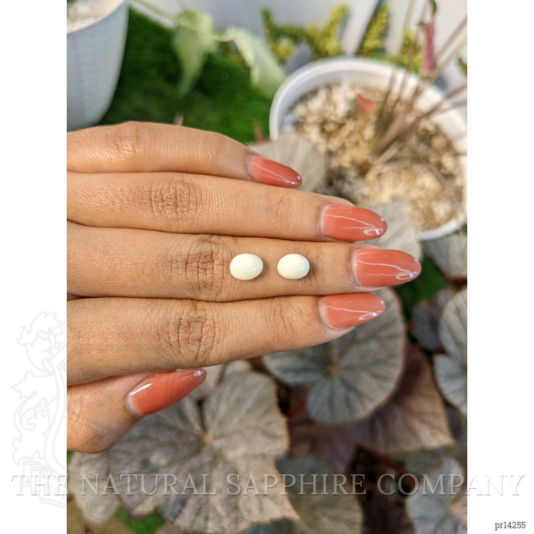 3.35 Ct.Tw. Salmon and White Cabochon Coral Pair from Italy