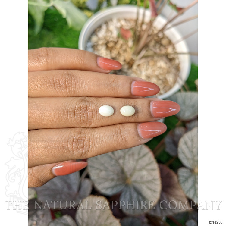 2.37 Ct.Tw. Salmon and White Cabochon Coral Pair from Italy
