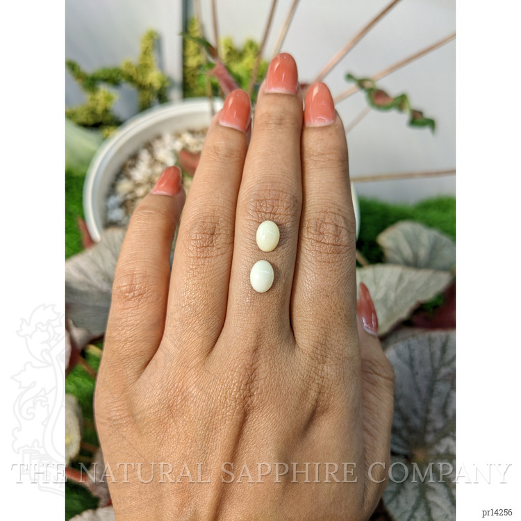 2.37 Ct.Tw. Salmon and White Cabochon Coral Pair from Italy