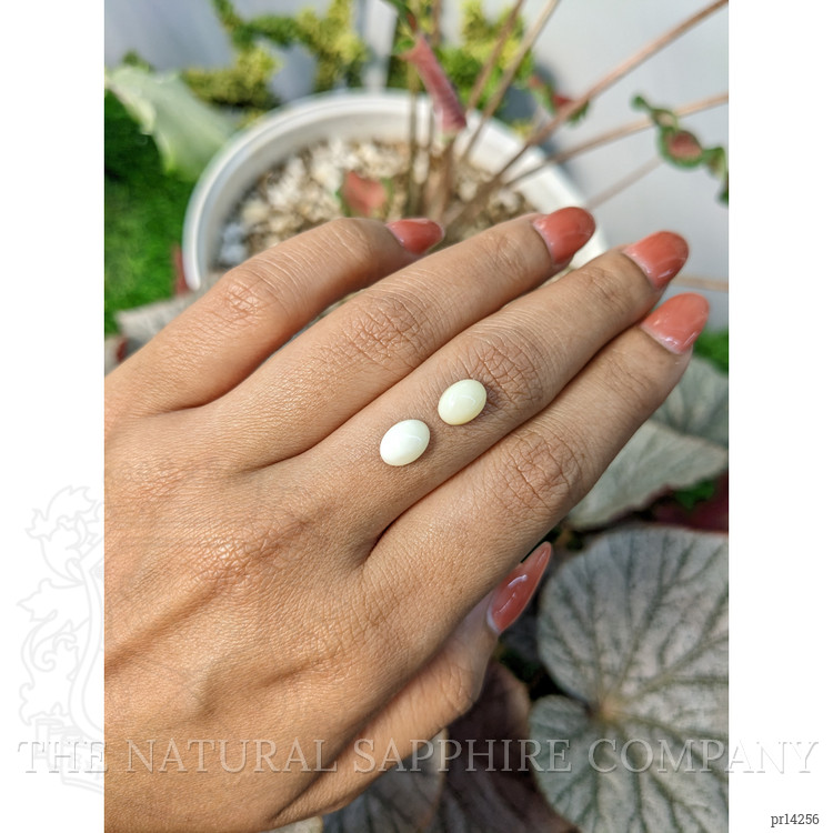 2.37 Ct.Tw. Salmon and White Cabochon Coral Pair from Italy