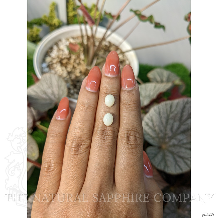 3.32 Ct.Tw. Salmon and White Cabochon Coral Pair from Italy