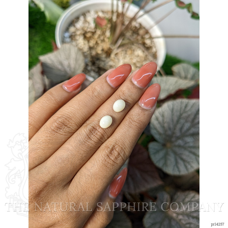 3.32 Ct.Tw. Salmon and White Cabochon Coral Pair from Italy