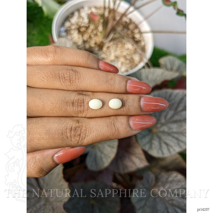 3.32 Ct.Tw. Salmon and White Cabochon Coral Pair from Italy