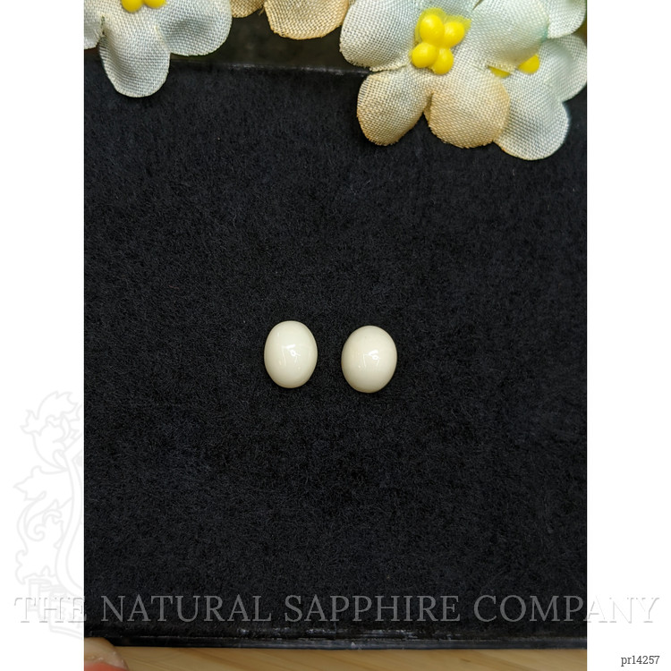 3.32 Ct.Tw. Salmon and White Cabochon Coral Pair from Italy