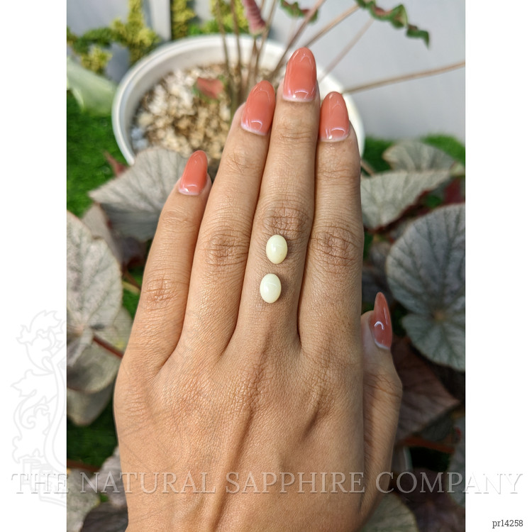 2.91 Ct.Tw. Salmon and White Cabochon Coral Pair from Italy