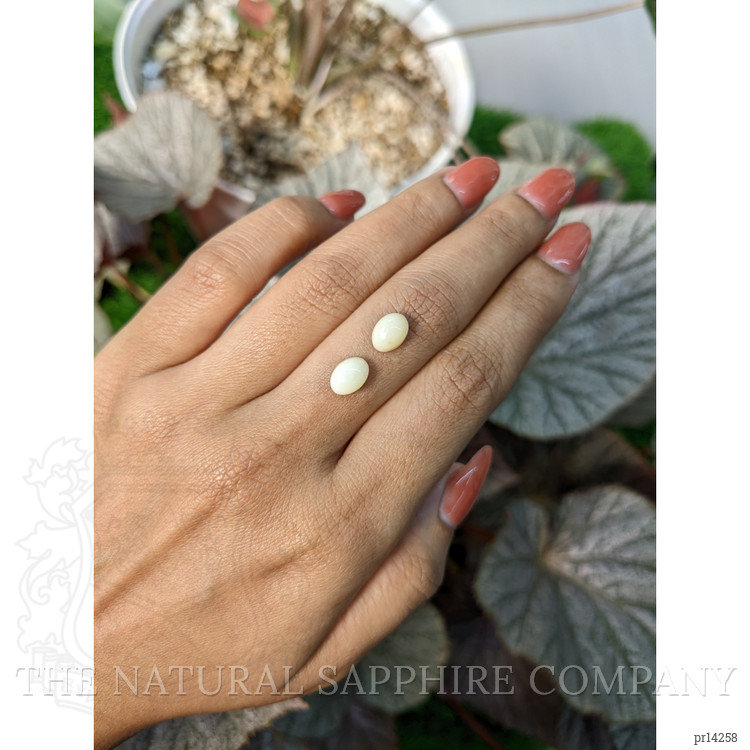 2.91 Ct.Tw. Salmon and White Cabochon Coral Pair from Italy