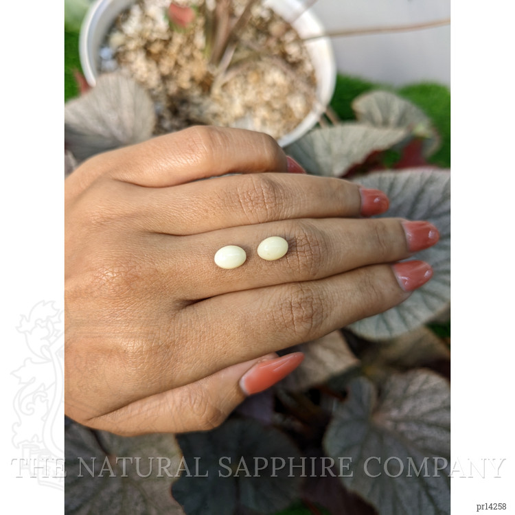 2.91 Ct.Tw. Salmon and White Cabochon Coral Pair from Italy