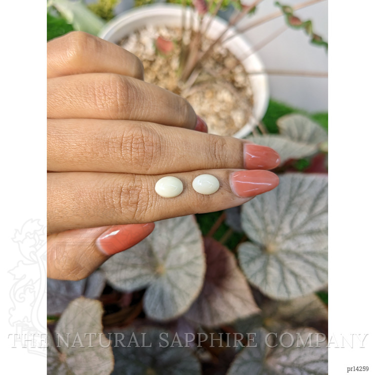 2.94 Ct.Tw. Salmon and White Cabochon Coral Pair from Italy