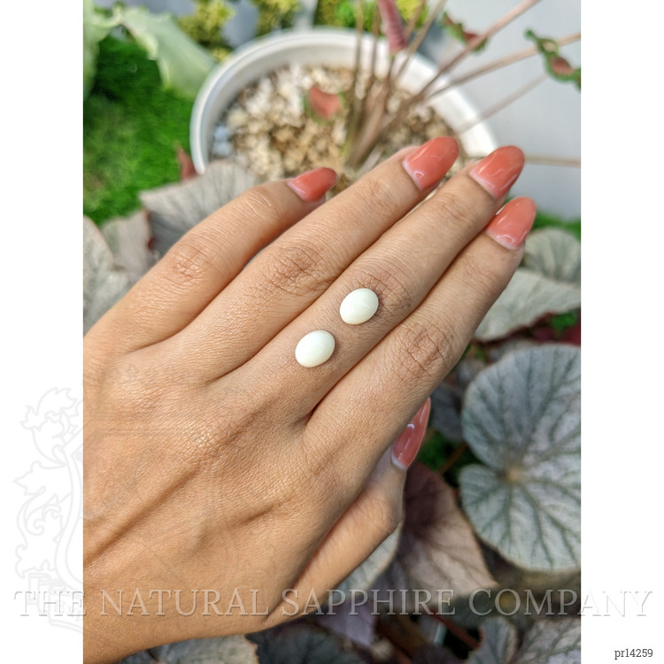 2.94 Ct.Tw. Salmon and White Cabochon Coral Pair from Italy
