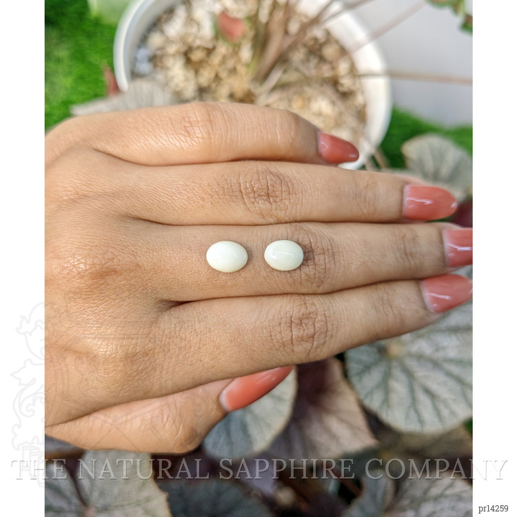 2.94 Ct.Tw. Salmon and White Cabochon Coral Pair from Italy