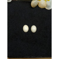 2.94 Ct.Tw.Total Carat Weight Salmon and White Cabochon Coral Pair from Italy Life Style