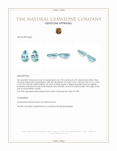 10.23 Ct.Tw.Total Carat Weight Blue Aquamarine Pair from Brazil Appraisal