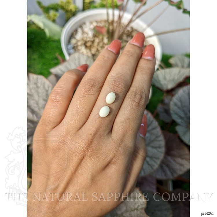 3.26 Ct.Tw. Salmon and White Cabochon Coral Pair from Italy