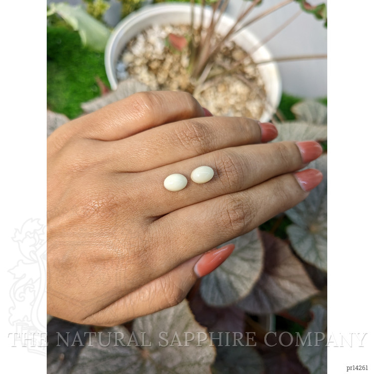 3.26 Ct.Tw. Salmon and White Cabochon Coral Pair from Italy