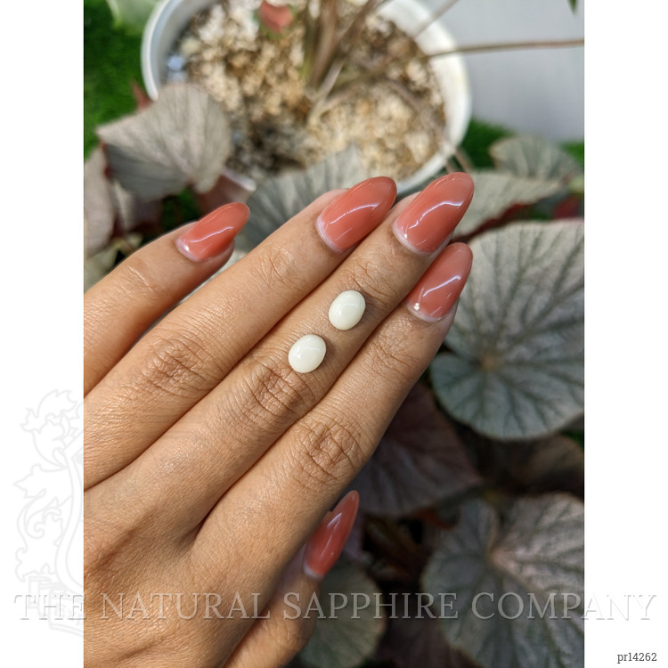 2.77 Ct.Tw. Salmon and White Cabochon Coral Pair from Italy