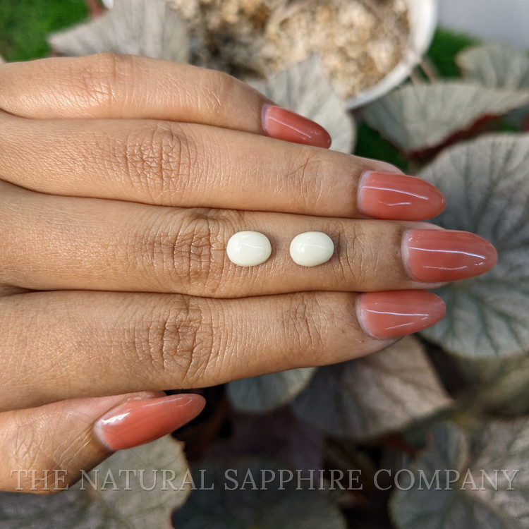2.77 Ct.Tw. Salmon and White Cabochon Coral Pair from Italy