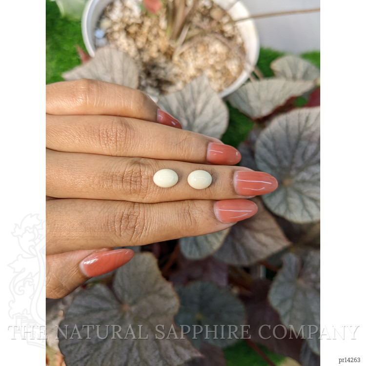 4.75 Ct.Tw. Salmon and White Cabochon Coral Pair from Italy