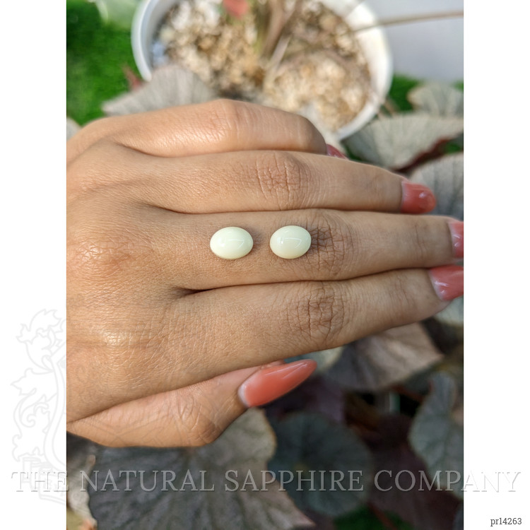 4.75 Ct.Tw. Salmon and White Cabochon Coral Pair from Italy