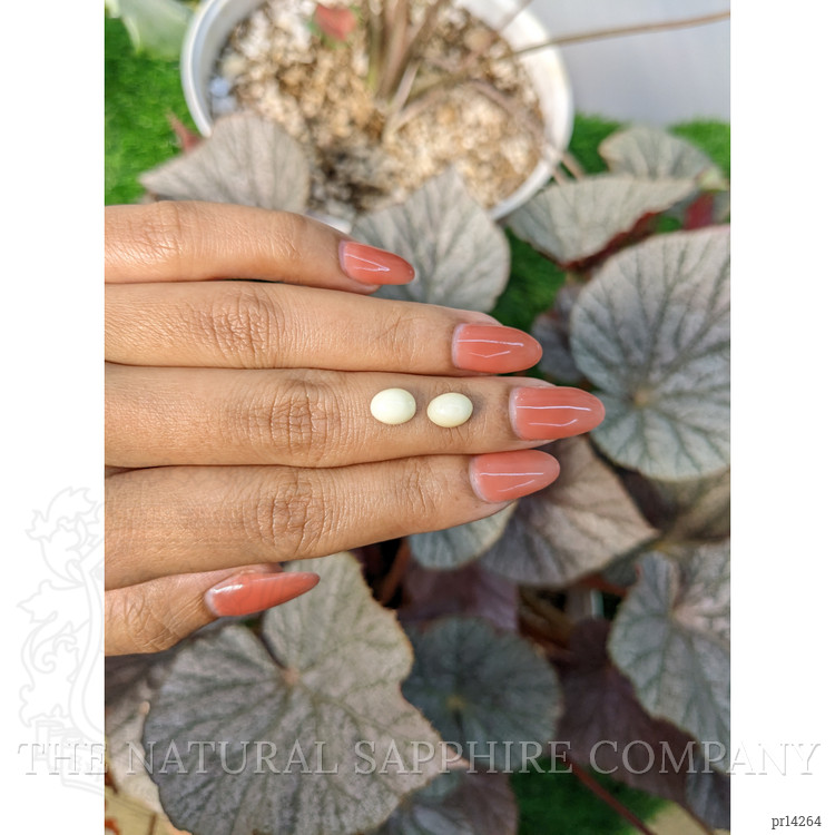 3.00 Ct.Tw. Salmon and White Cabochon Coral Pair from Italy