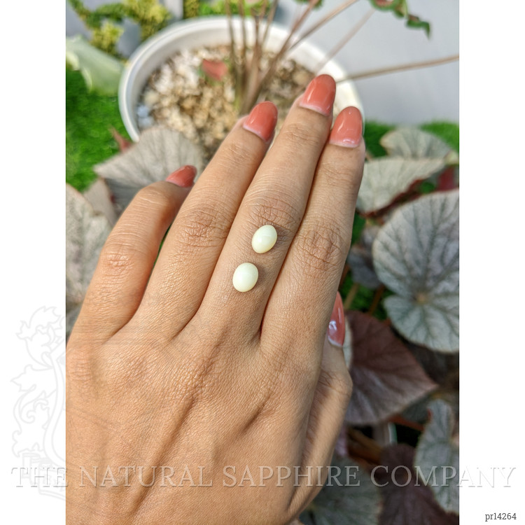 3.00 Ct.Tw. Salmon and White Cabochon Coral Pair from Italy