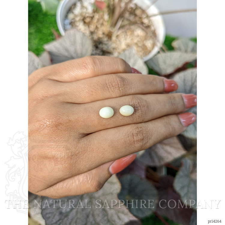 3.00 Ct.Tw. Salmon and White Cabochon Coral Pair from Italy