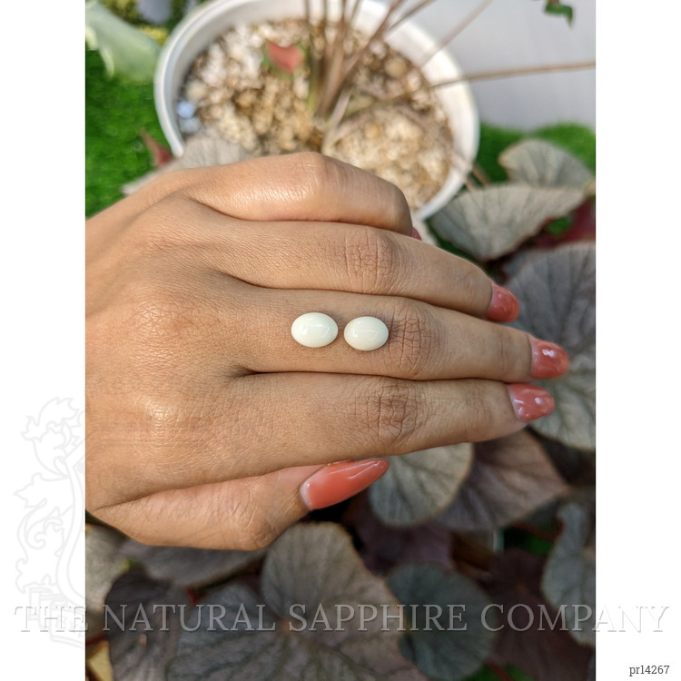 3.74 Ct.Tw. Salmon and White Cabochon Coral Pair from Italy