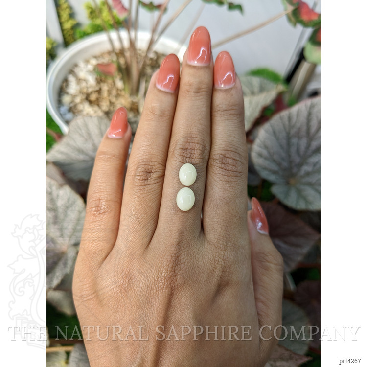 3.74 Ct.Tw. Salmon and White Cabochon Coral Pair from Italy