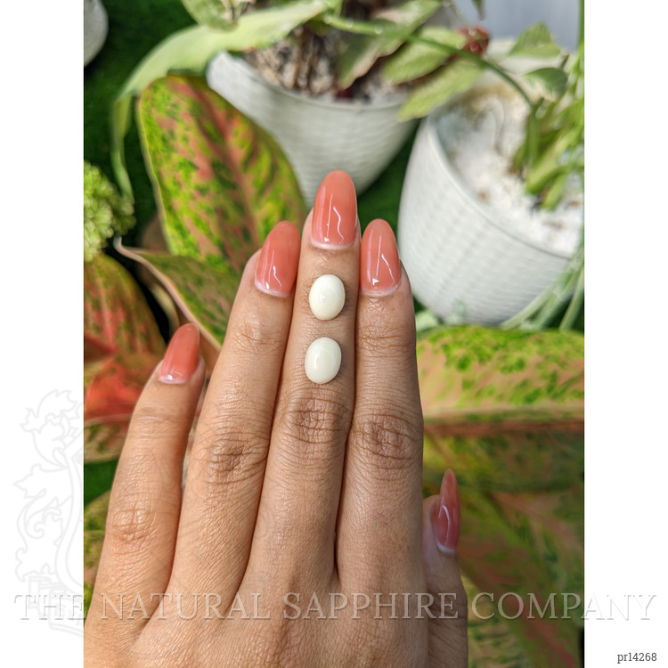 3.94 Ct.Tw. Salmon and White Cabochon Coral Pair from Italy